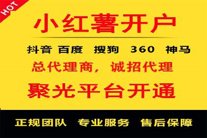 SEM推广策略：成功案例解析